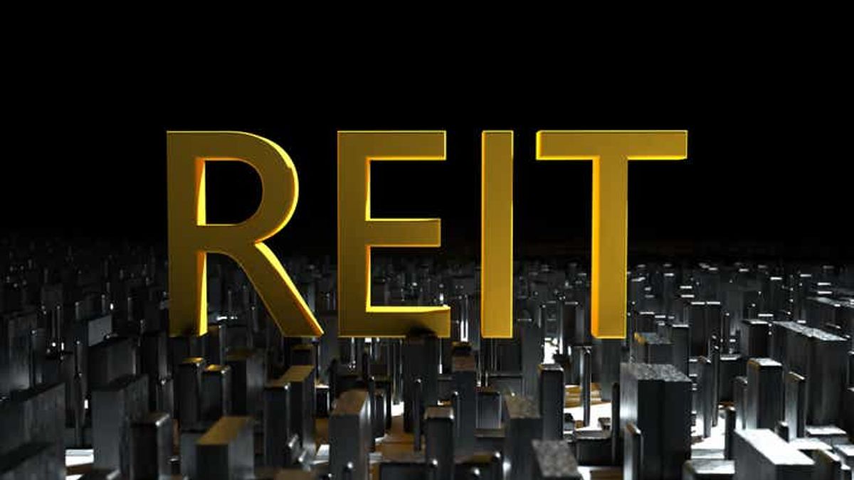 6. Real Estate Investment Trusts (REITs)